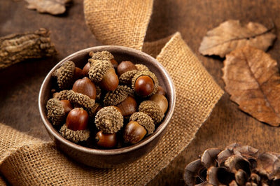 Castor Oil ( 1 L )