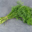 Dill Oil ( 1 L )