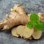 Ginger Oil ( 1 L )