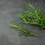 Rosemary Oil ( 1 L )