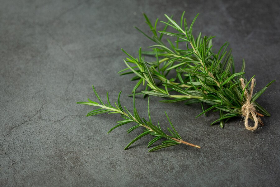 Rosemary Oil ( 1 L )
