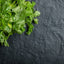 Coriander Oil ( 1 L )
