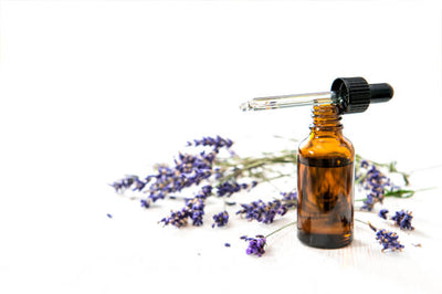 Lavender Oil ( 1 L )